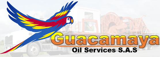 PLATAFORMA EDUCATIVA GOS